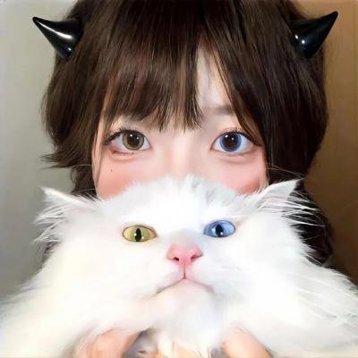 校园大斗发